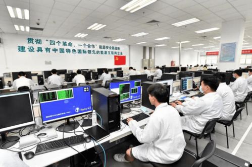 质铸有声，南瑞集团高质量实施提质工程，打造卓越工程管理服务